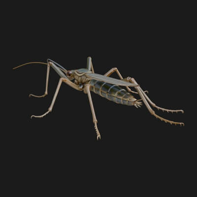 Katydid Statue Design 13 3D Print Model