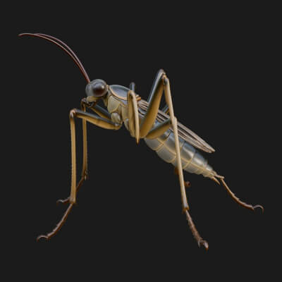 Katydid Statue Design 15 3D Print Model