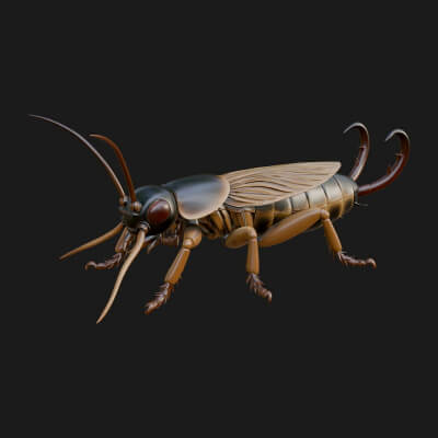 Katydid Statue Design 17 3D Print Model