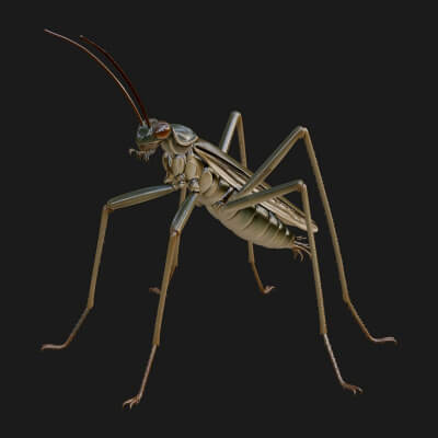 Katydid Statue Design 18 3D Print Model