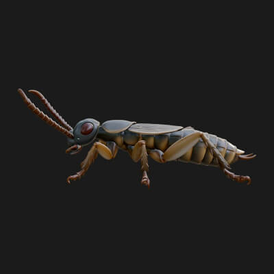 Katydid Statue Design 2 3D Print Model