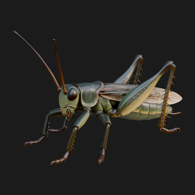 Katydid Statue Design 4 3D Print Model