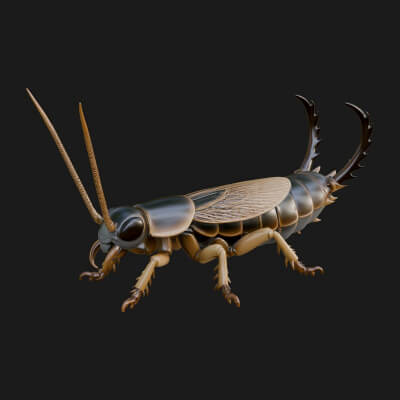 Katydid Statue Design 5 3D Print Model