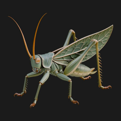 Katydid Statue Design 6 3D Print Model