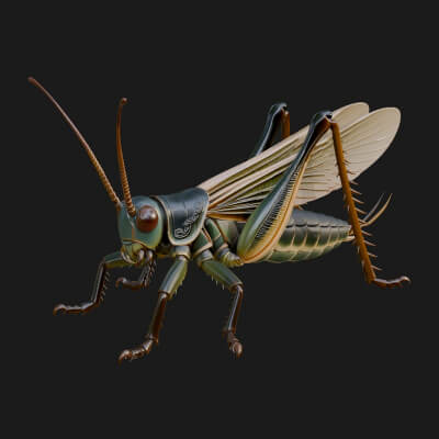 Katydid Statue Design 7 3D Print Model
