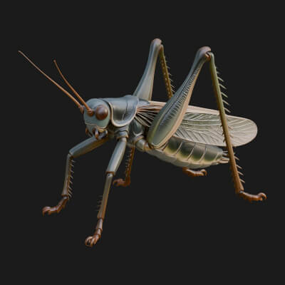 Katydid Statue Design 9 3D Print Model