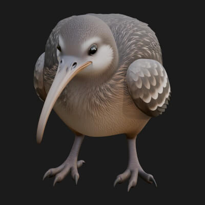 Kiwi Bird Statue Design 2 3D Print Model
