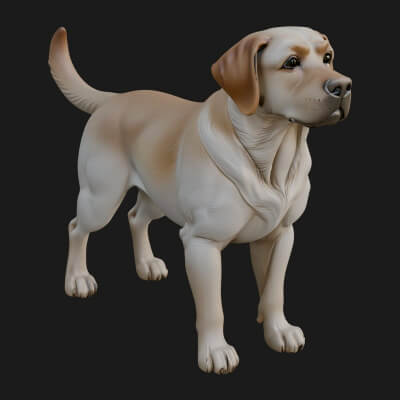 Labrador Dog Statue Design 1 3D Print Model