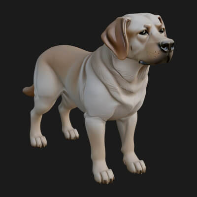 Labrador Dog Statue Design 2 3D Print Model