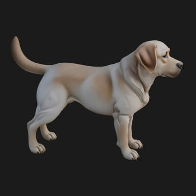 Labrador Dog Statue Design 3 3D Print Model