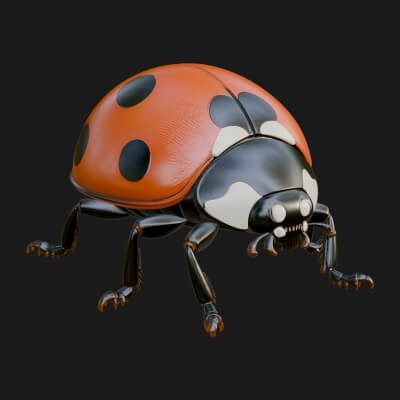Ladybug Beetle Statue Design 4 3D Print Model
