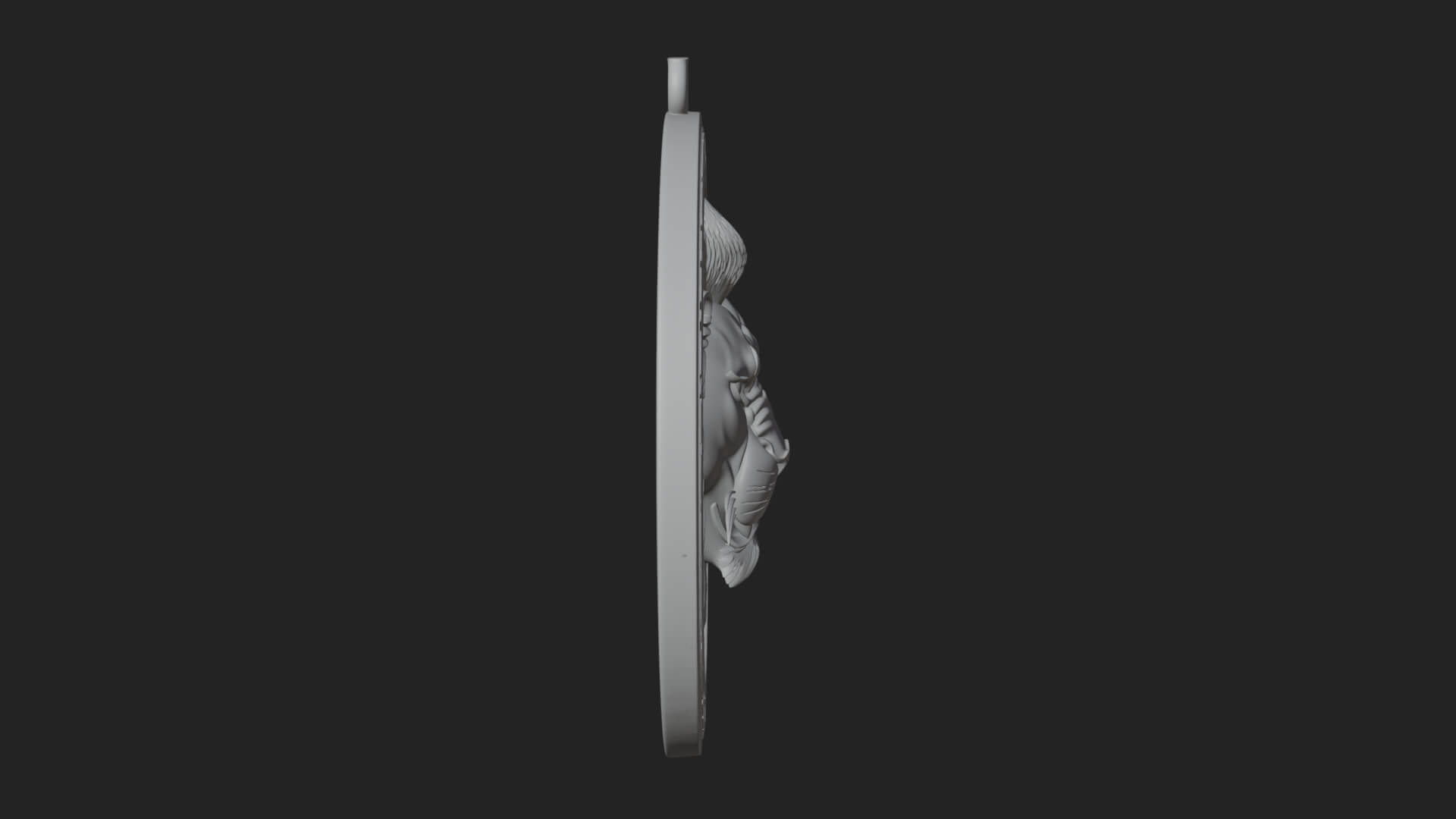 Lion Head Oval Relief Plaque Design 1 3D Print Model 3D Model