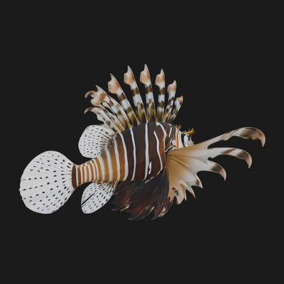 Lionfish Statue Design 1 3D Print Model
