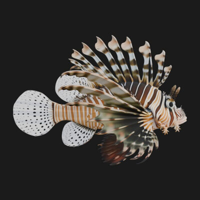 Lionfish Statue Design 3 3D Print Model