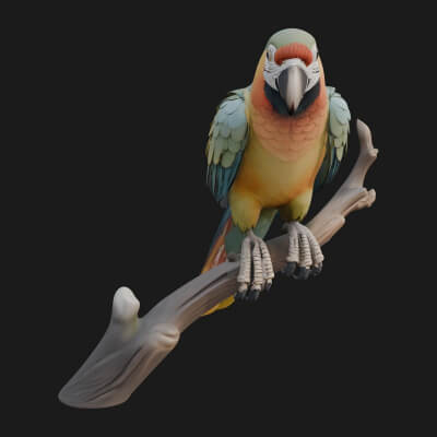 Macaw Parrot Statue Design 4 3D Print Model