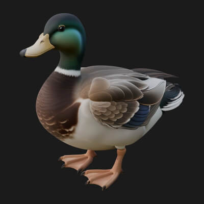 Mallard Duck Statue Design 4 3D Print Model