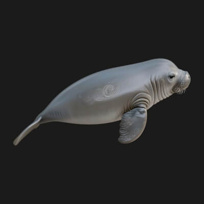 Manatee Statue Design 1 3D Print Model