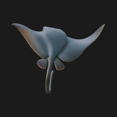 Manta Ray Statue Design 2 3D Print Model
