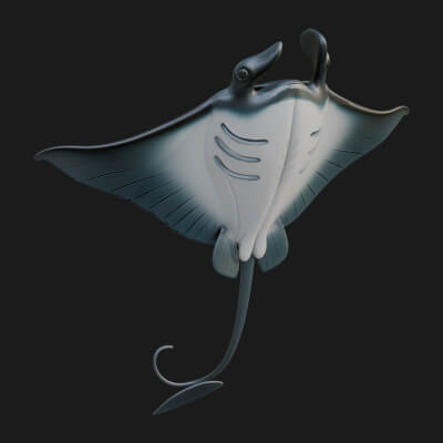 Manta Ray Statue Design 4 3D Print Model