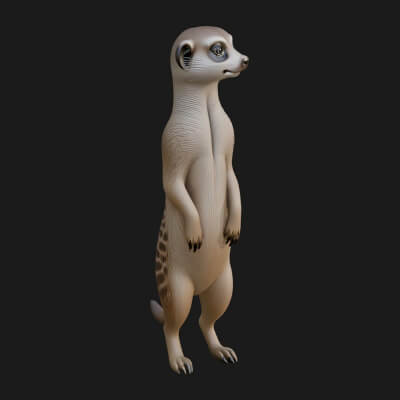 Meerkat Statue Design 3 3D Print Model