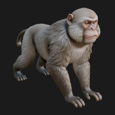 Monkey Statue Design 12 3D Print Model