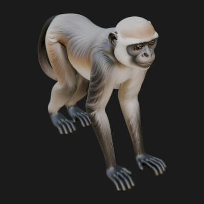 Monkey Statue Design 31 3D Print Model
