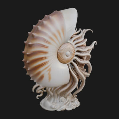 Nautilus Shell Statue Design 3 3D Print Model