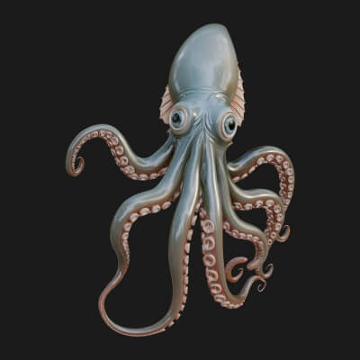 Octopus Statue Design 8 3D Print Model