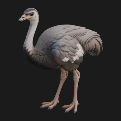 Ostrich Bird Statue Design 1 3D Print Model