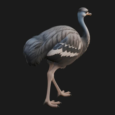Ostrich Bird Statue Design 3 3D Print Model