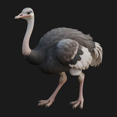 Ostrich Bird Statue Design 6 3D Print Model