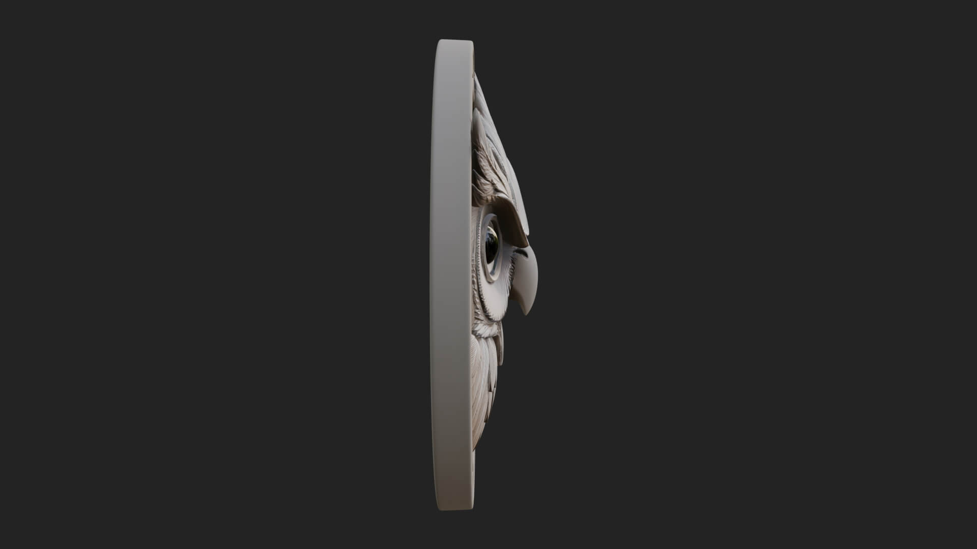 Owl Head Oval Relief Plaque Design 3 3D Print Model 3D Model