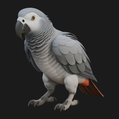 Parrot Bird Statue Design 3 3D Print Model