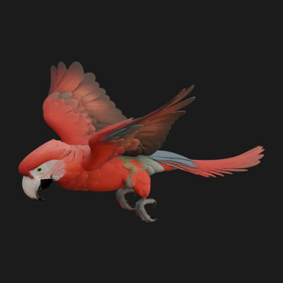 Parrot Bird Statue Design 4 3D Print Model