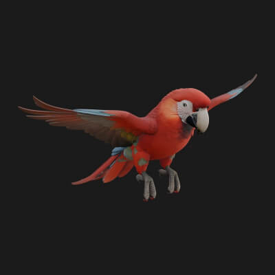 Parrot Bird Statue Design 8 3D Print Model