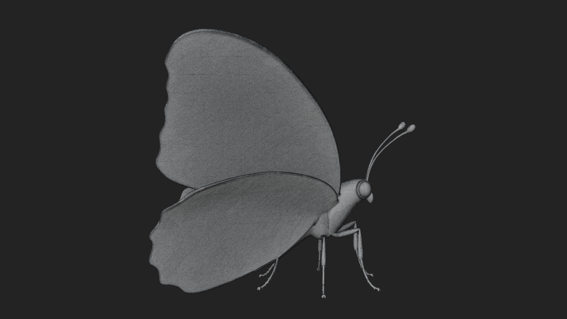 Pastel Wing Butterfly Statue Design 1 3D Print Model 3D Model