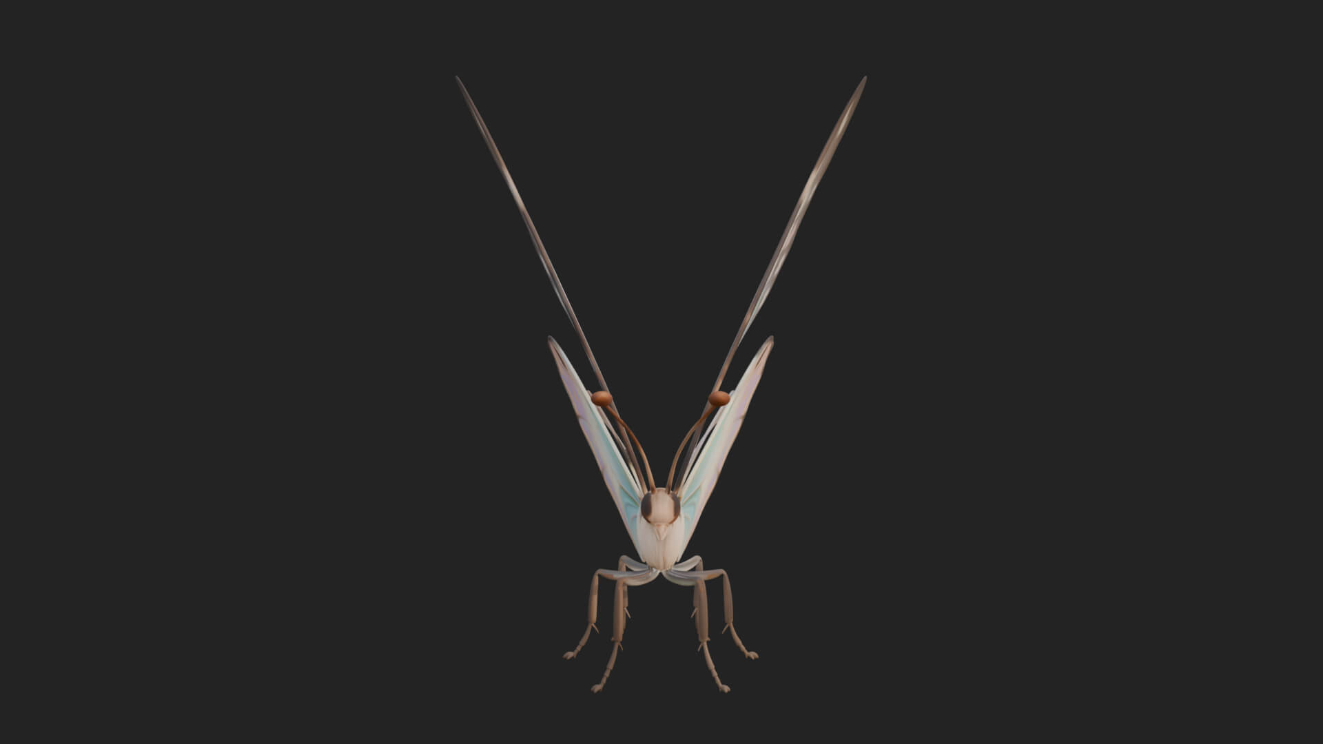Pastel Wing Butterfly Statue Design 2 3D Print Model 3D Model