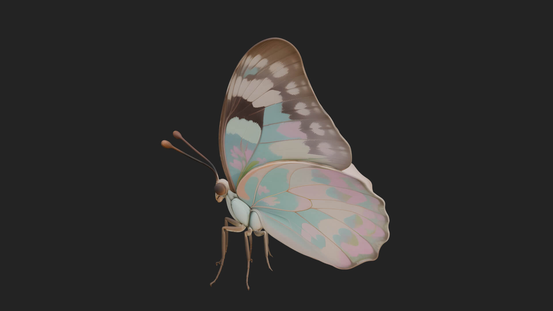 Pastel Wing Butterfly Statue Design 3 3D Print Model 3D Model