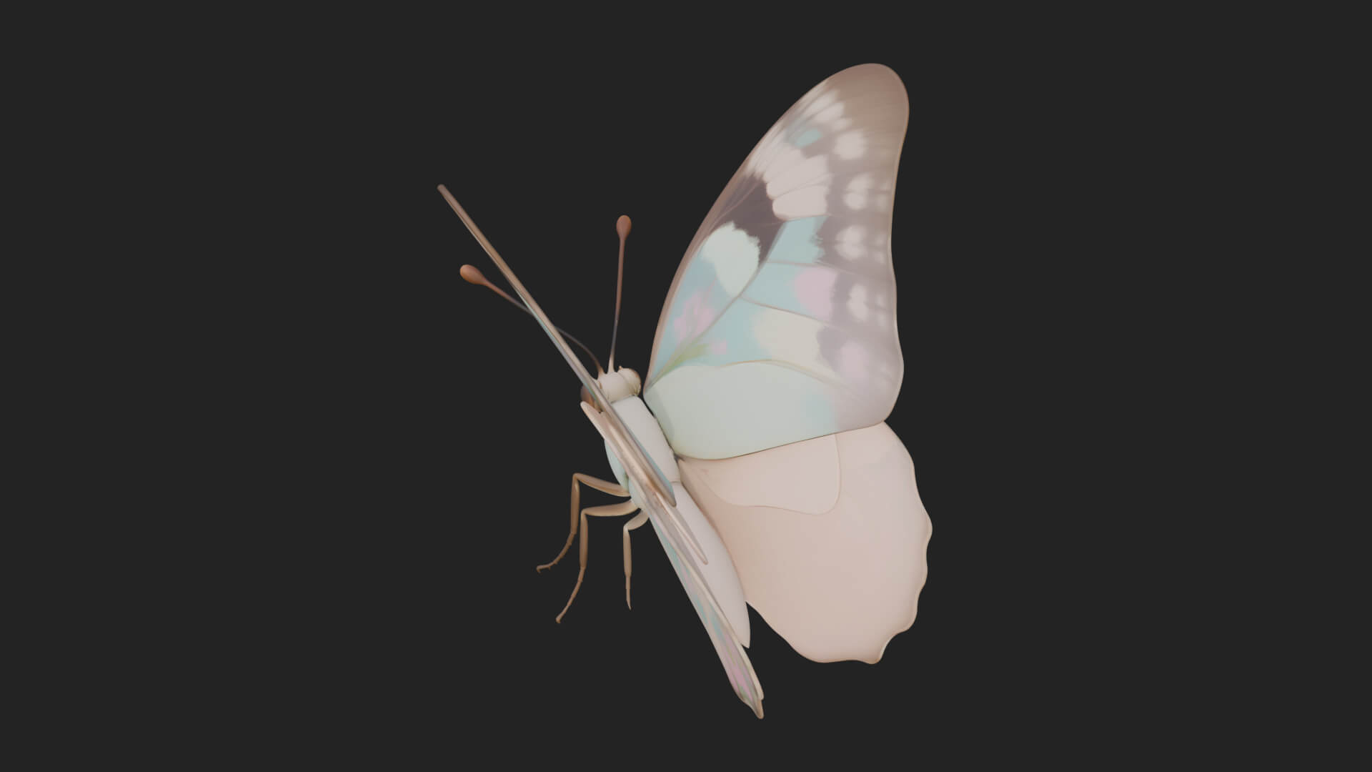 Pastel Wing Butterfly Statue Design 3 3D Print Model 3D Model