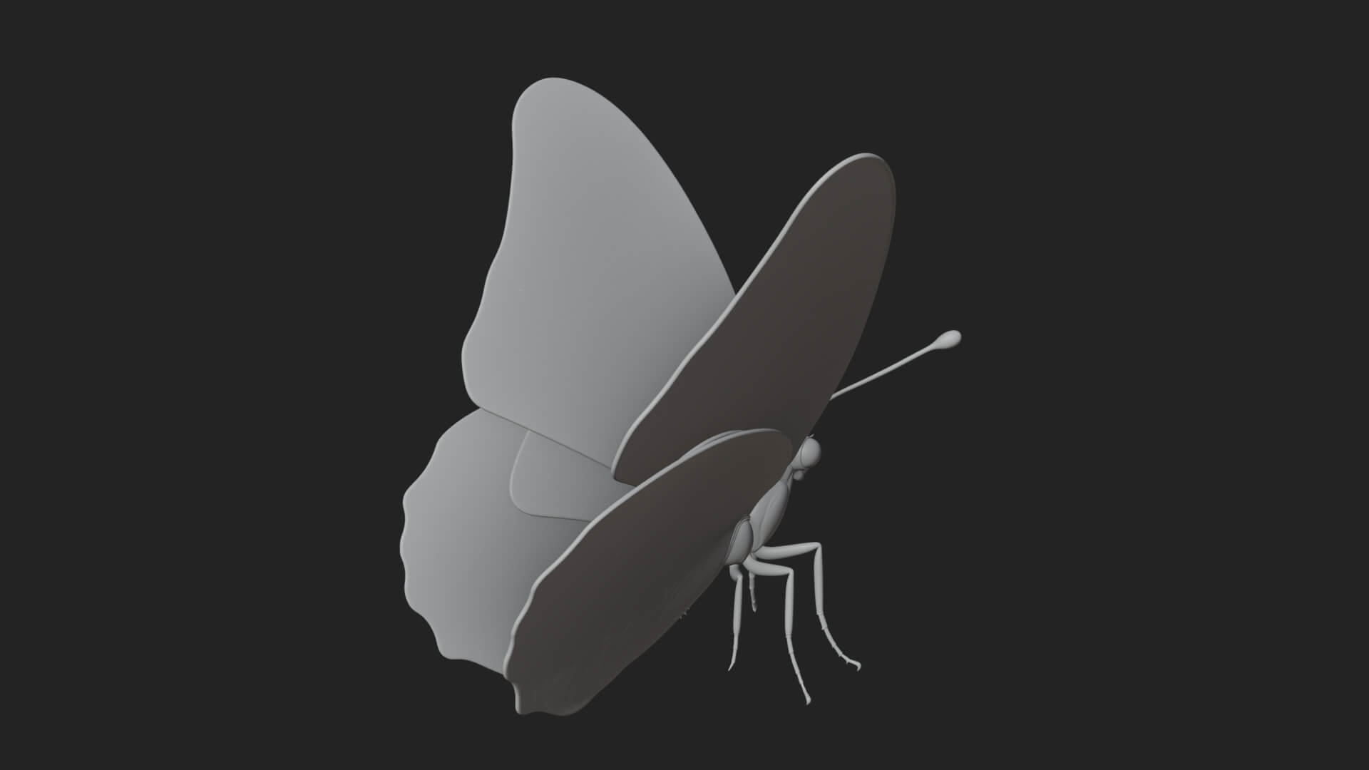 Pastel Wing Butterfly Statue Design 3 3D Print Model 3D Model