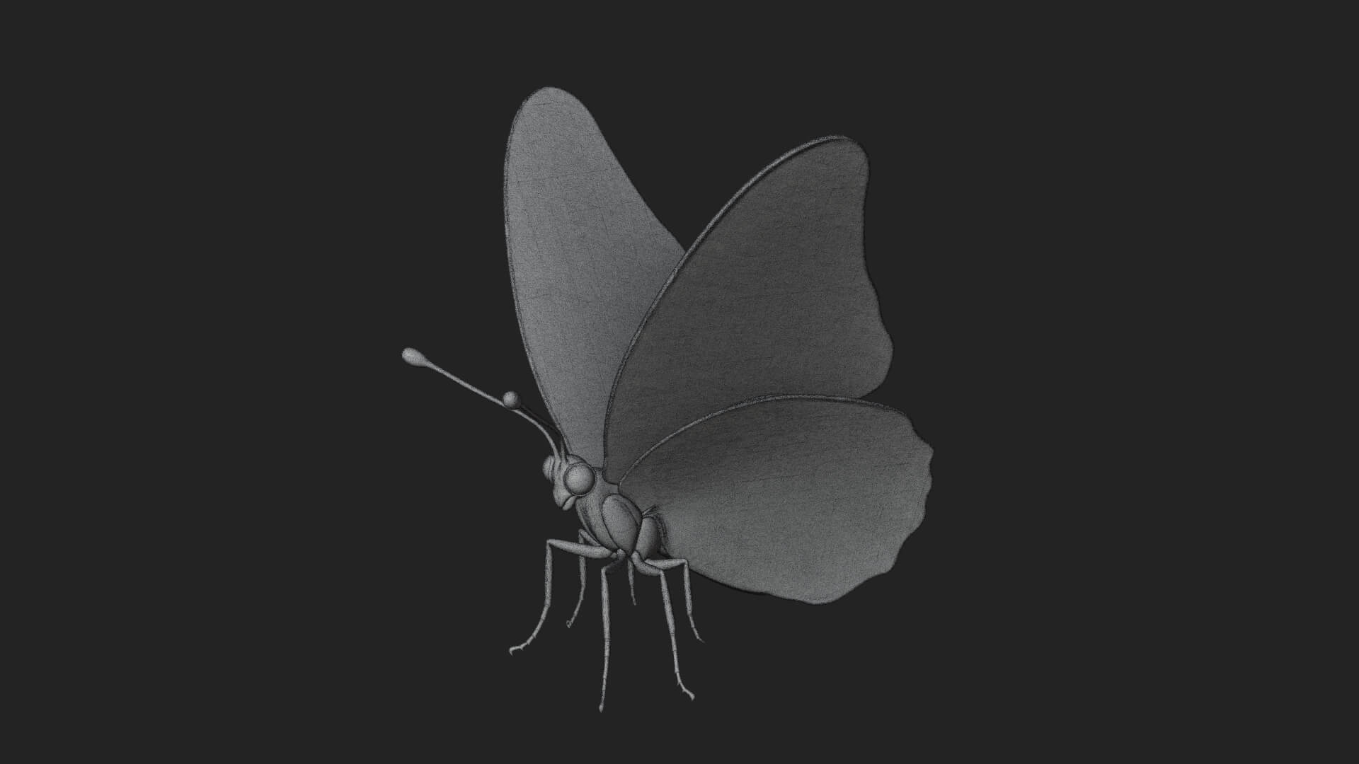 Pastel Wing Butterfly Statue Design 3 3D Print Model 3D Model