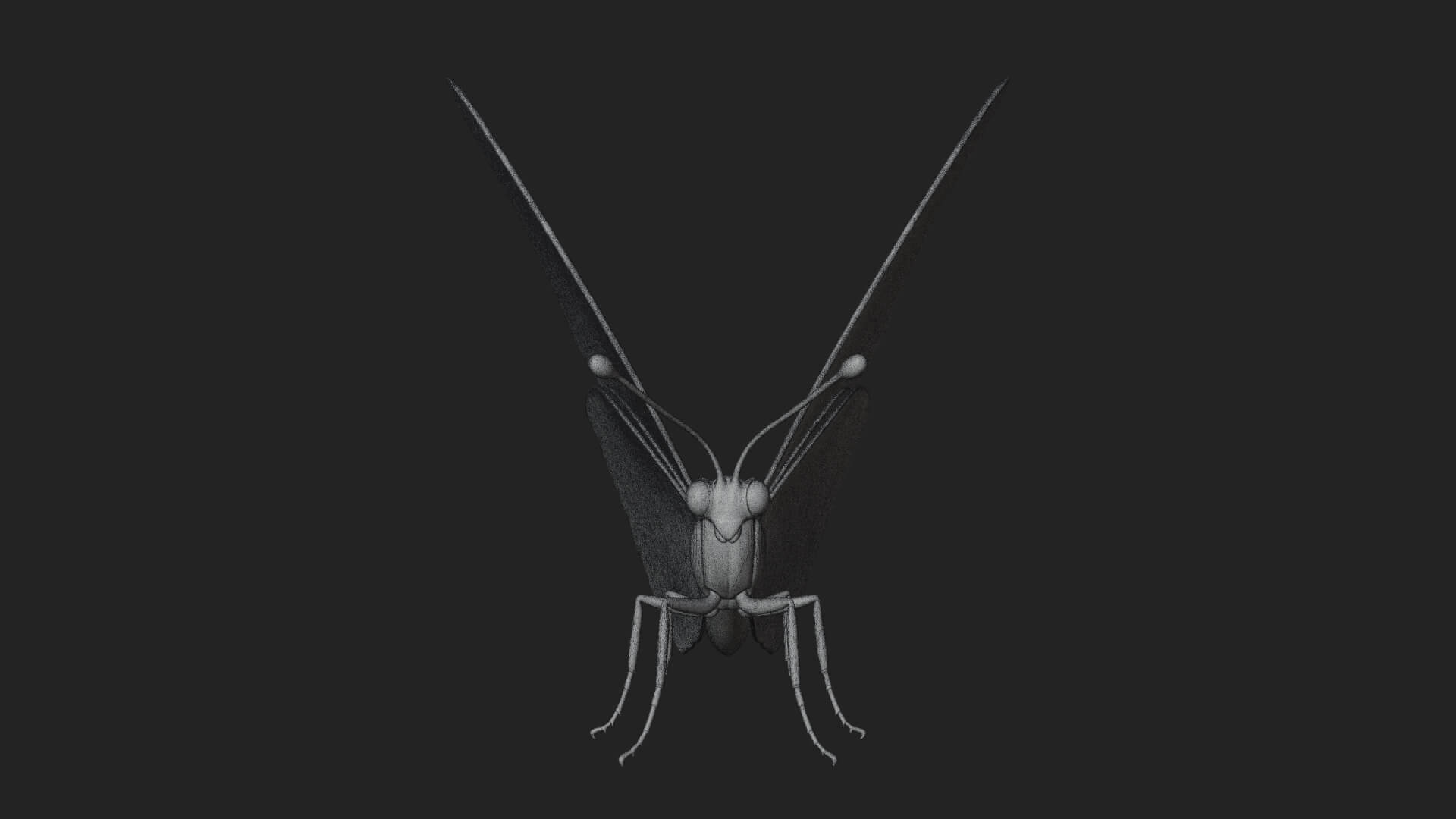 Pastel Wing Butterfly Statue Design 3 3D Print Model 3D Model