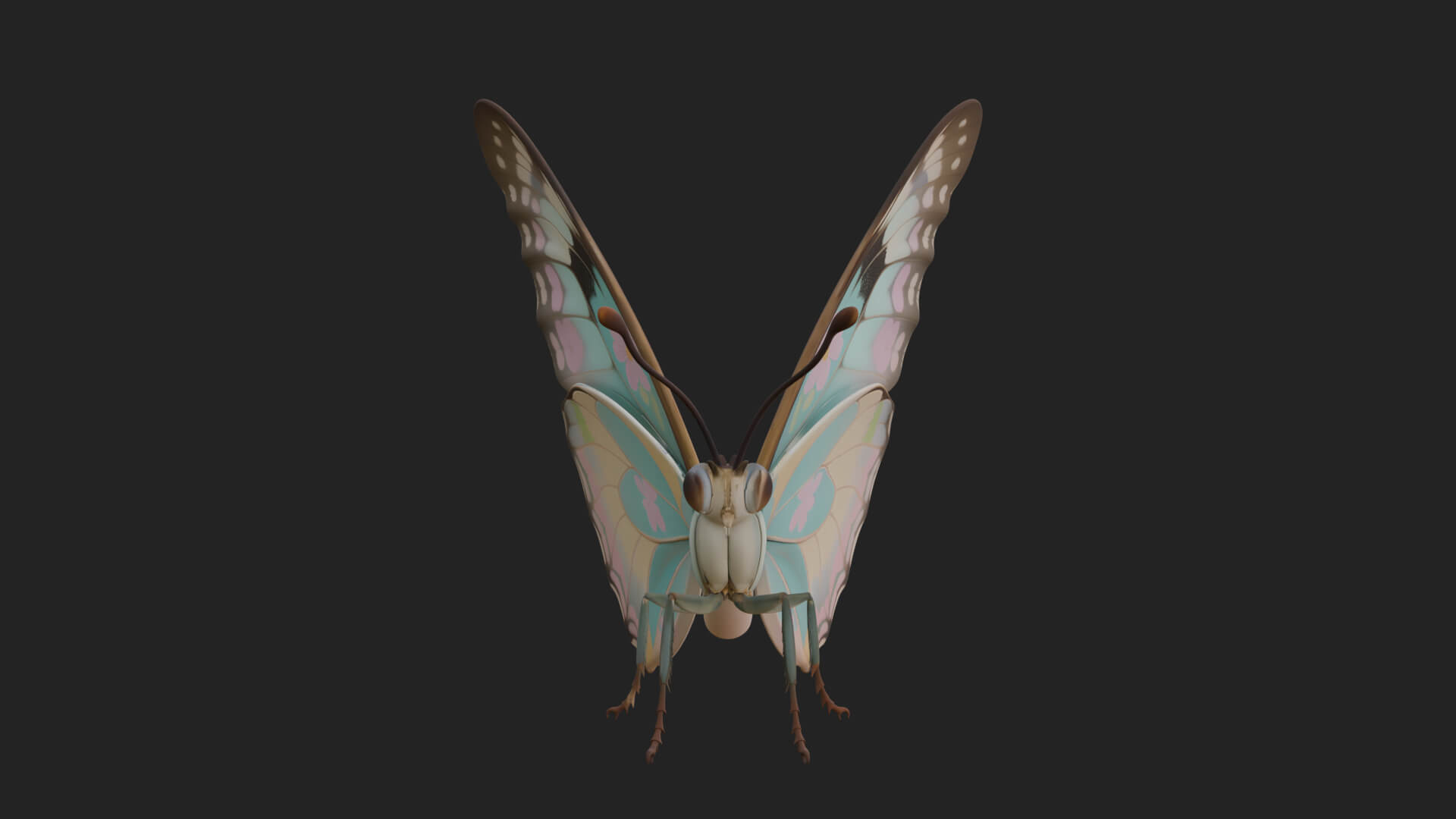 Pastel Wing Butterfly Statue Design 4 3D Print Model 3D Model