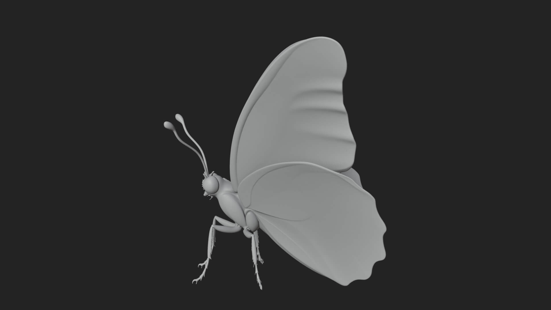 Pastel Wing Butterfly Statue Design 4 3D Print Model 3D Model