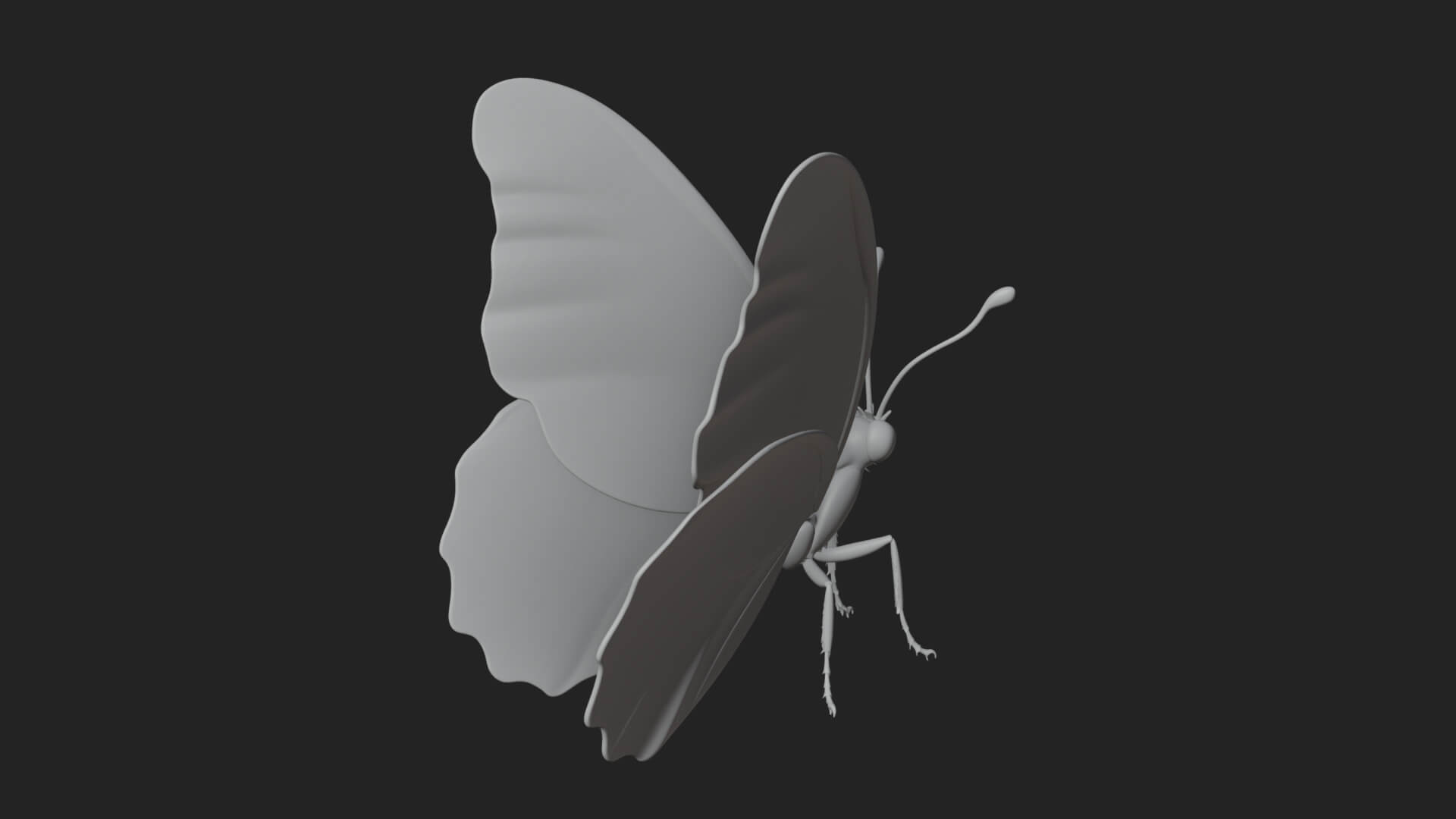 Pastel Wing Butterfly Statue Design 4 3D Print Model 3D Model