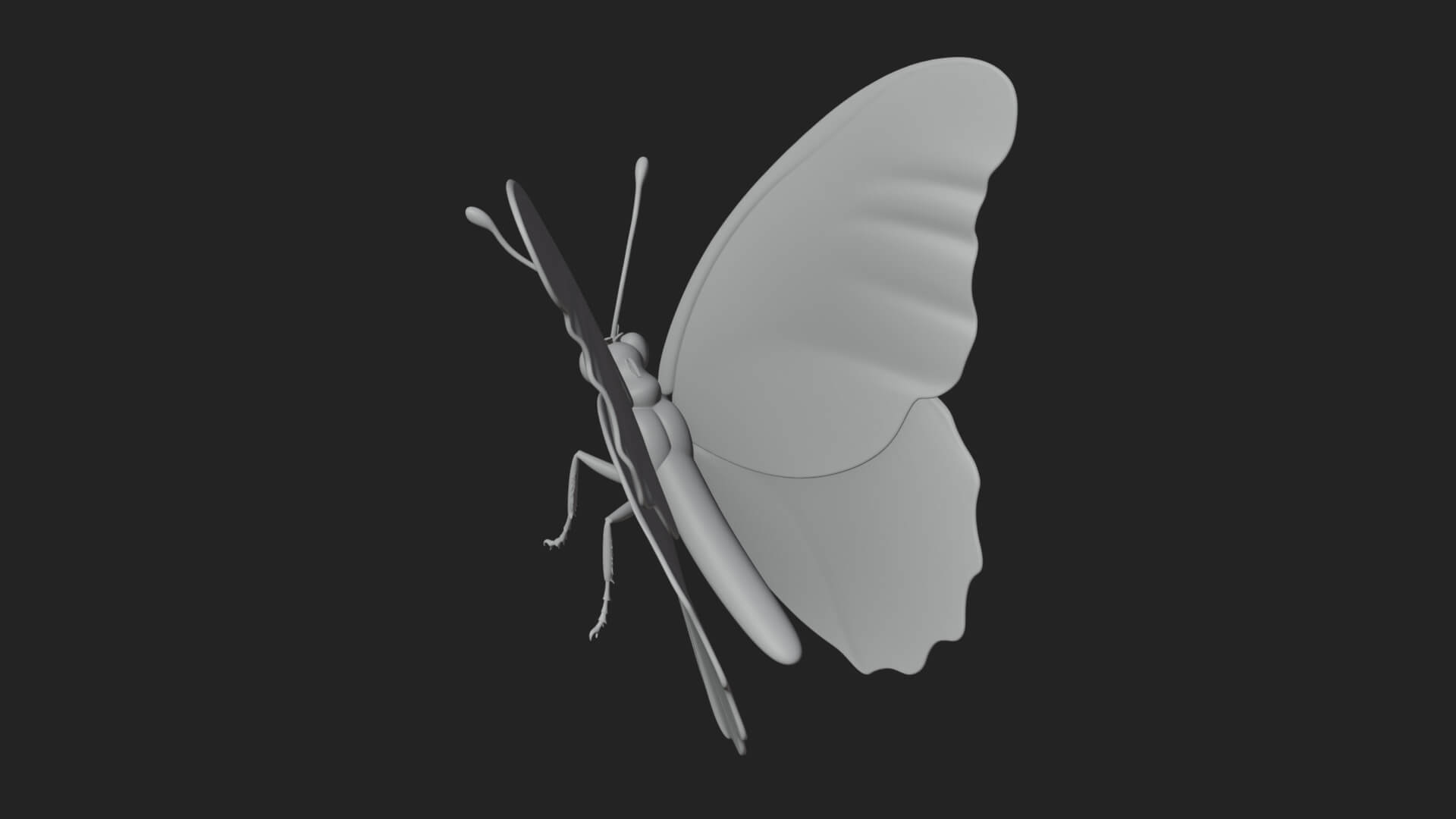 Pastel Wing Butterfly Statue Design 4 3D Print Model 3D Model