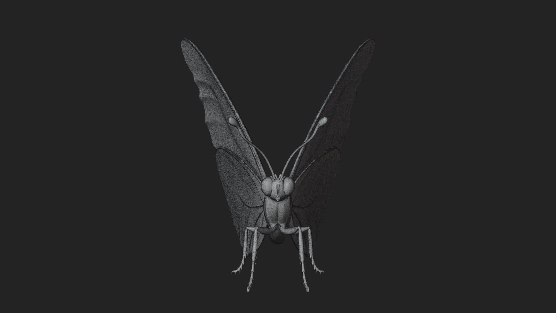 Pastel Wing Butterfly Statue Design 4 3D Print Model 3D Model