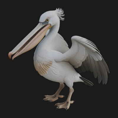 Pelican Bird Statue Design 1 3D Print Model