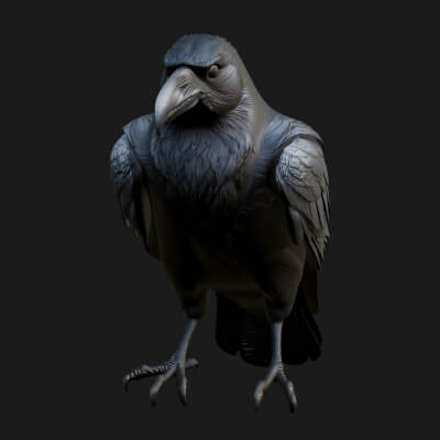 Perched Raven Bird Statue Design 1 3D Print Model