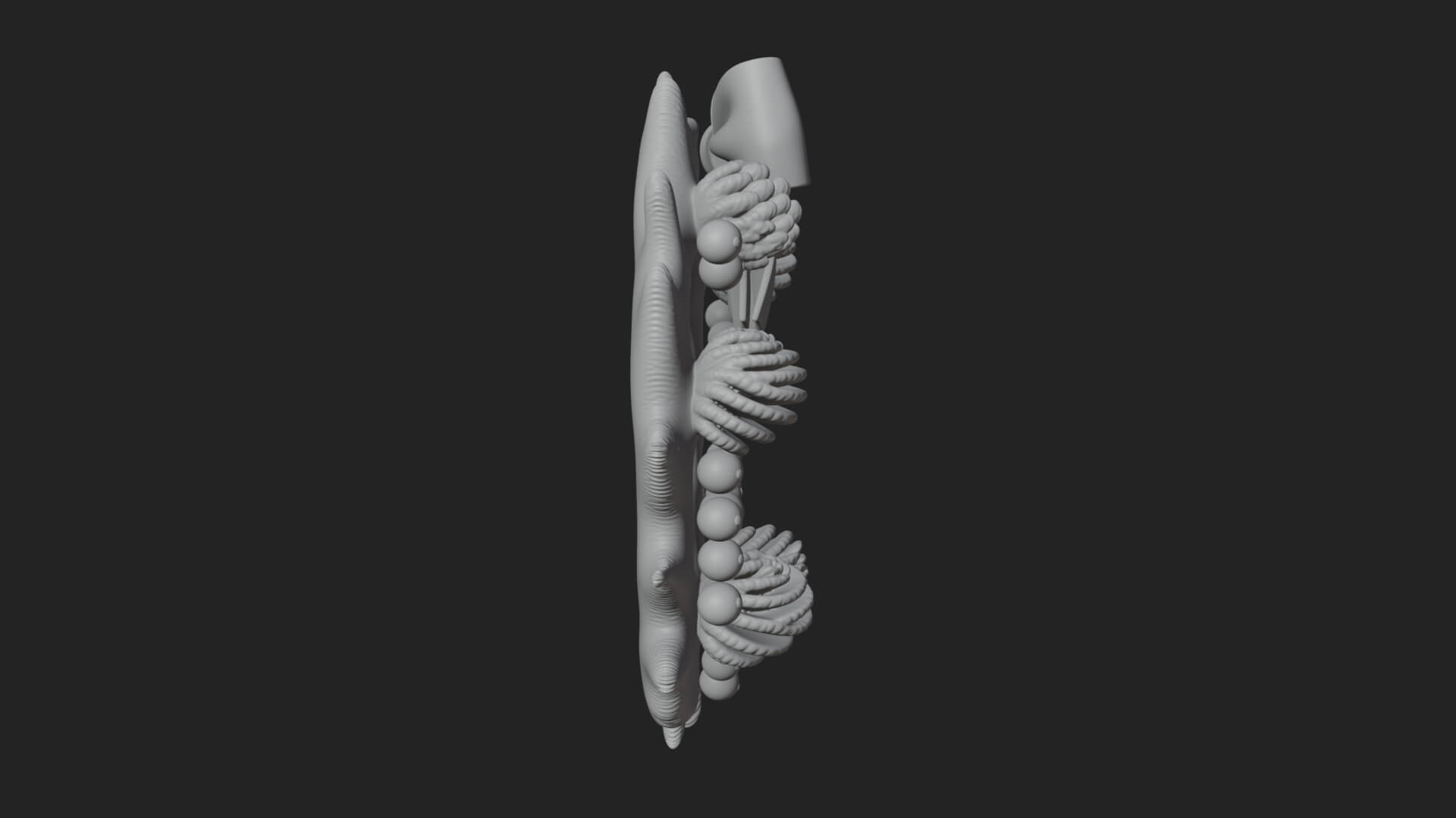 Pine Christmas Wreath Ornament Design 1 3D Print Model 3D Model